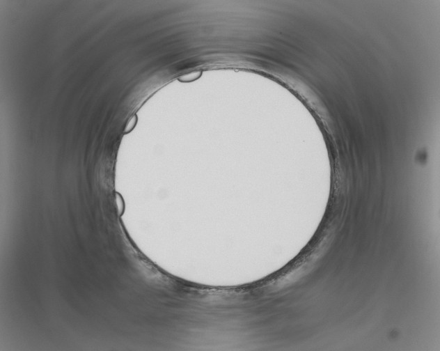 X0000116820905201001291619