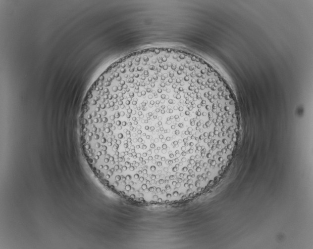 X0000116820906201001291619