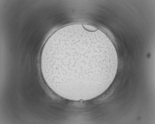 X0000116820907201001291619