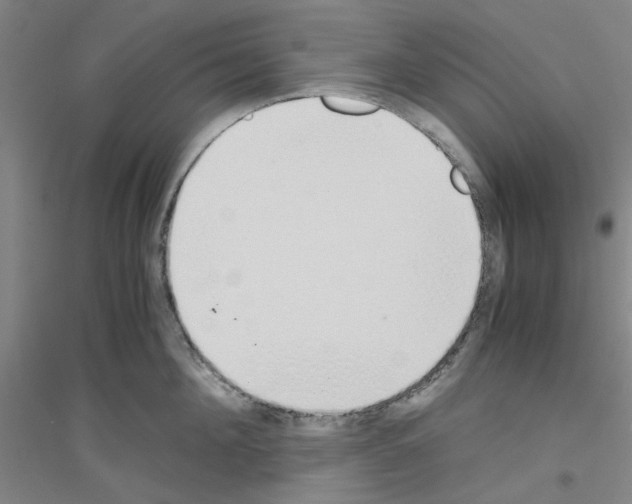 X0000116820908201001291619