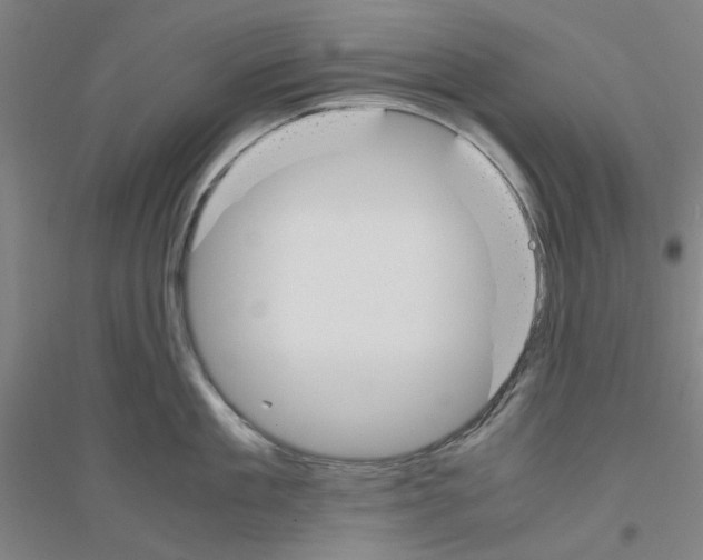 X0000116820909201001291619