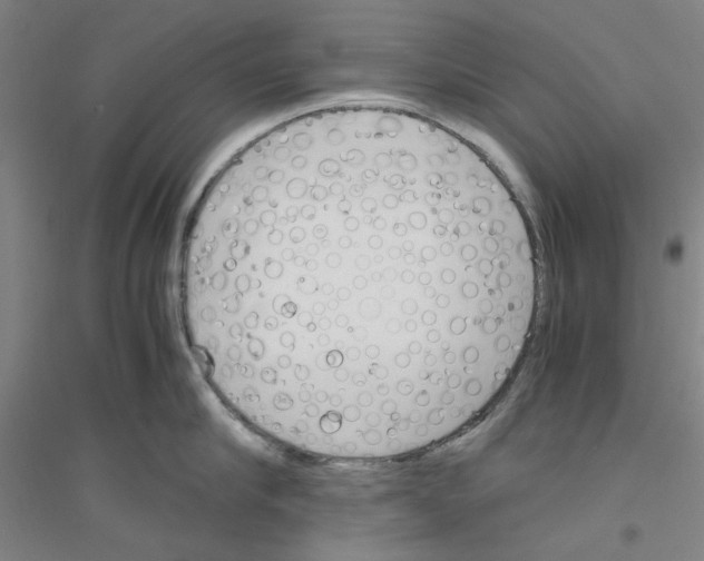 X0000116820910201001291619