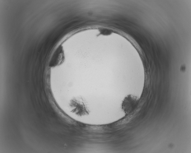 X0000116820911201001291619