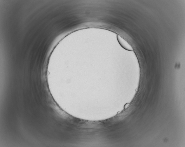 X0000116820912201001291619