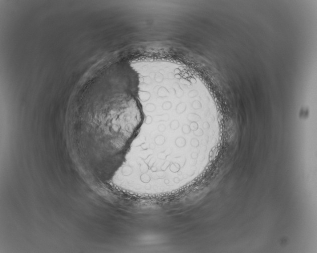 X0000116820913201001291619