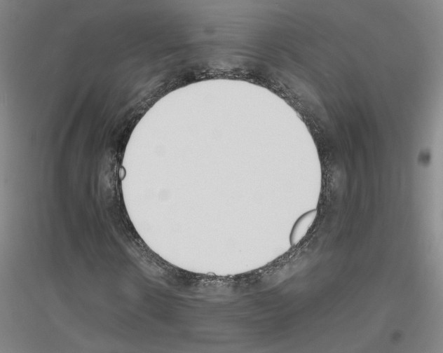 X0000116820914201001291619