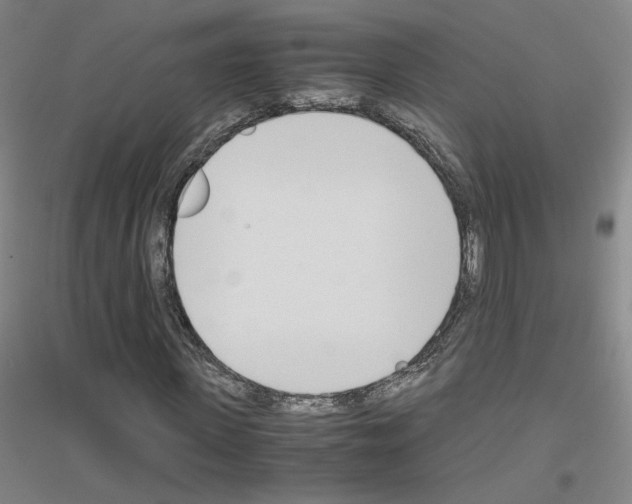 X0000116820915201001291619