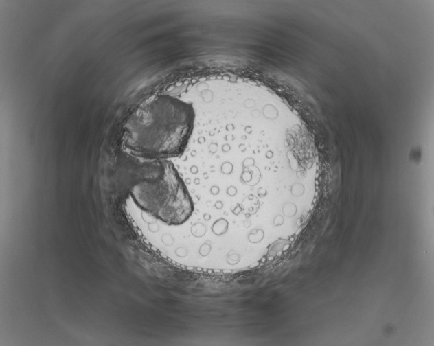 X0000116820917201001291619