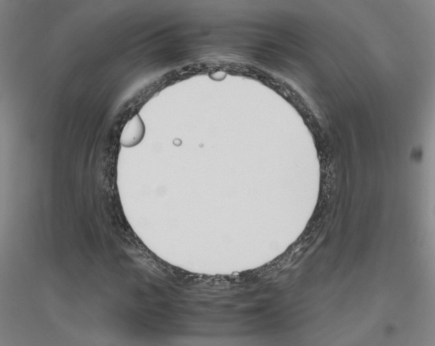 X0000116820919201001291619