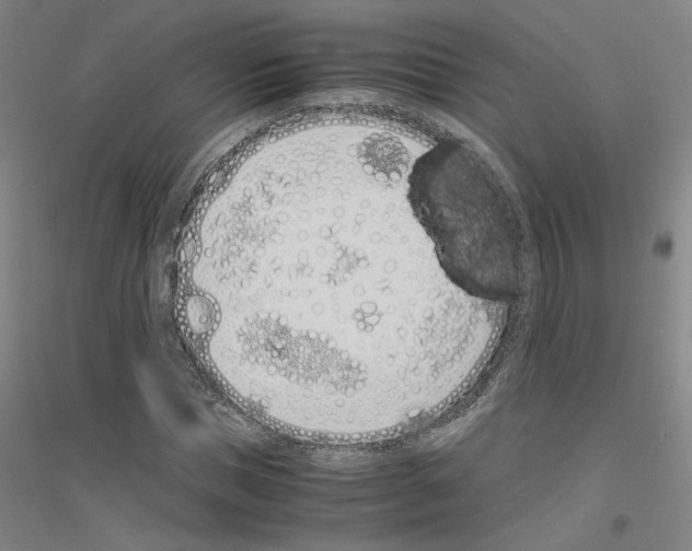 X0000116820921201001291619