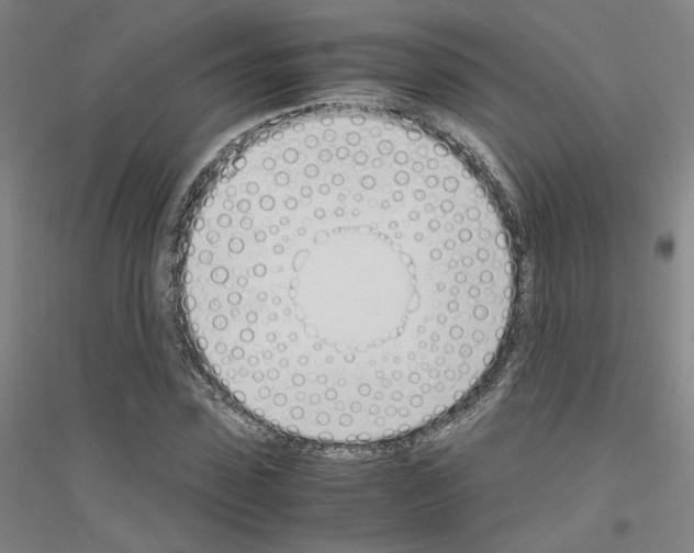 X0000116820923201001291619