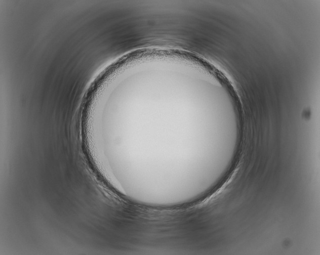 X0000116820925201001291619