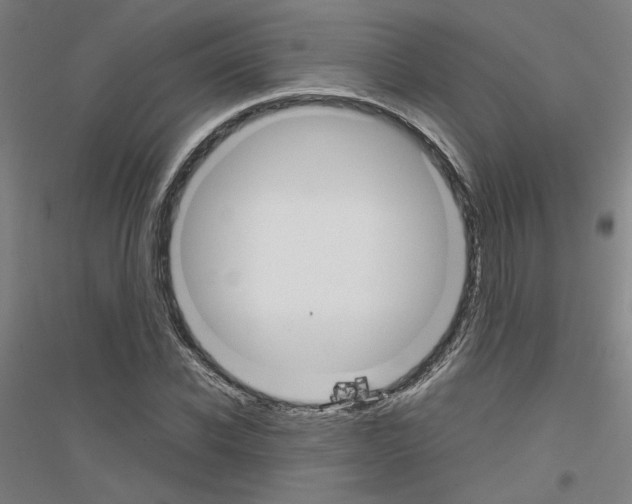 X0000116820926201001291619