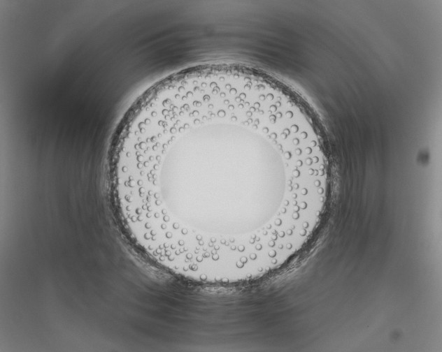 X0000116820927201001291619