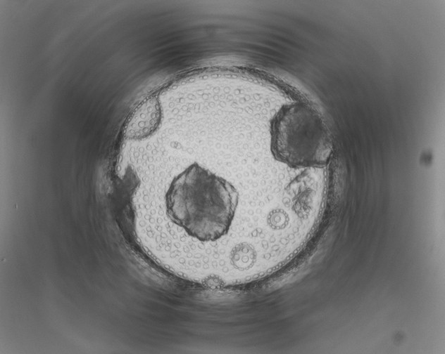 X0000116820929201001291619