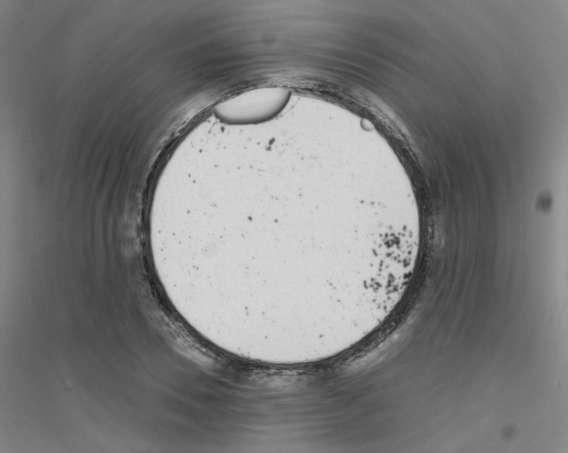 X0000116820930201001291619