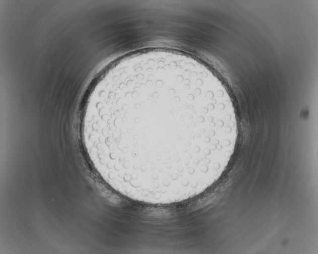 X0000116820931201001291619