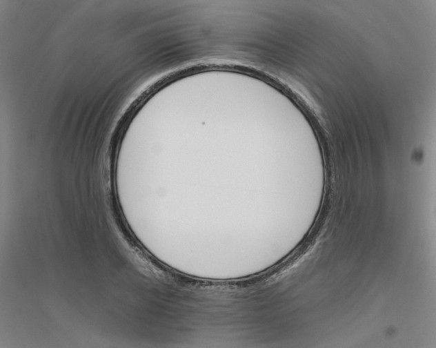 X0000116820934201001291619