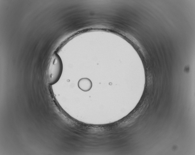 X0000116820935201001291619