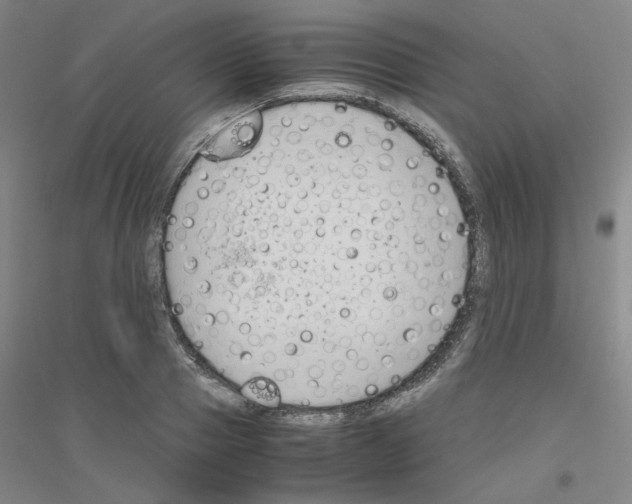 X0000116820937201001291619