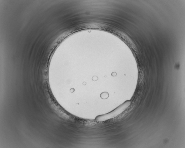 X0000116820938201001291619