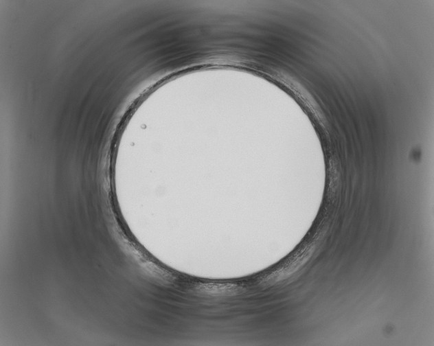 X0000116820939201001291619