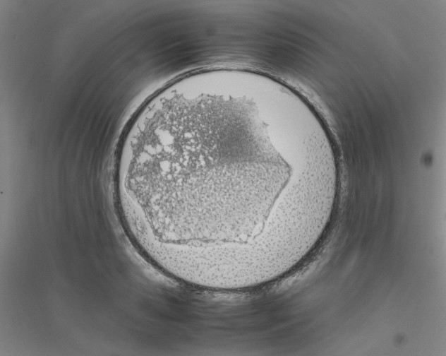 X0000116820941201001291619