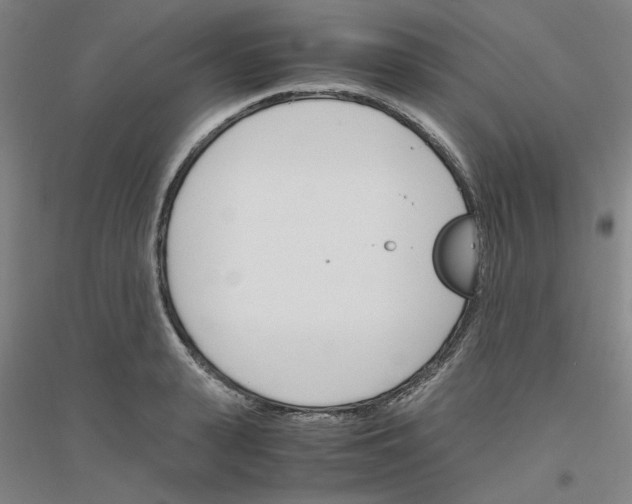 X0000116820943201001291619