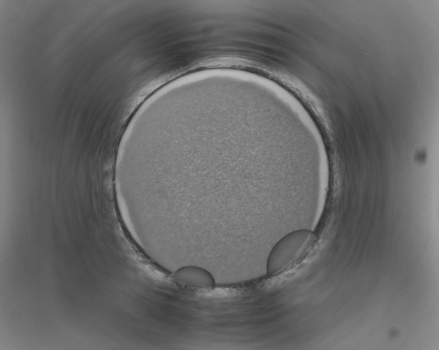 X0000116820945201001291619