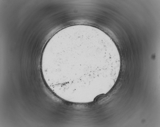 X0000116820946201001291619