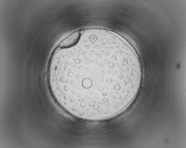 X0000116820949201001291619