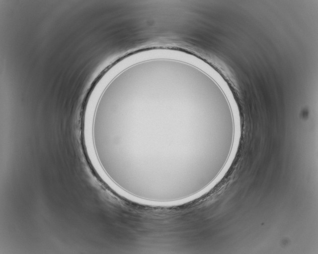 X0000116820950201001291619