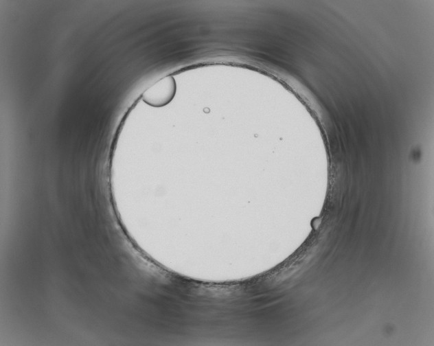 X0000116820951201001291619