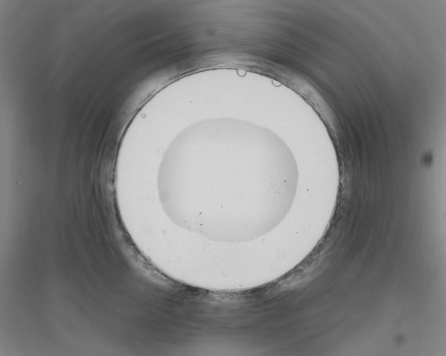 X0000116820954201001291619