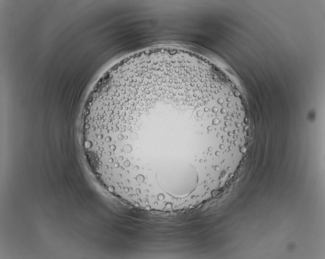 X0000116820955201001291619