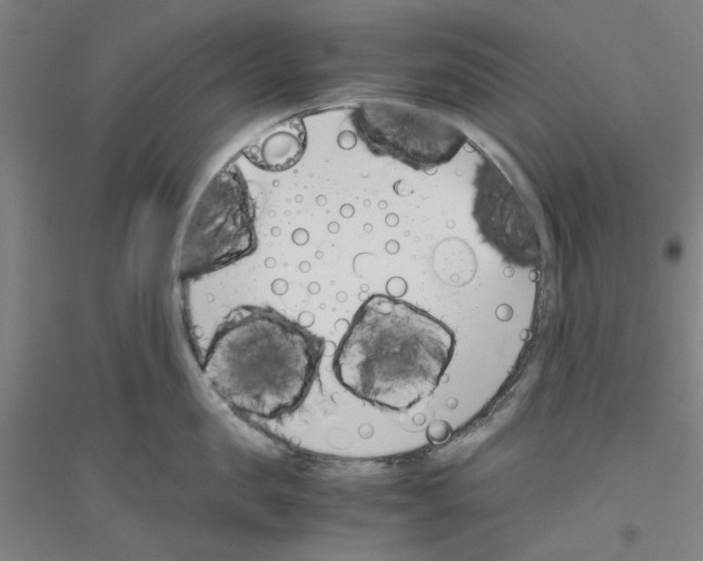 X0000116820957201001291619