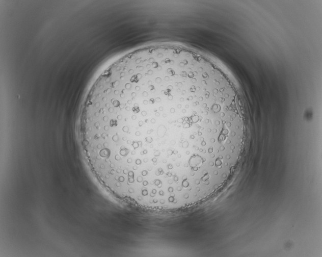 X0000116820959201001291619