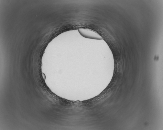 X0000116820961201001291619