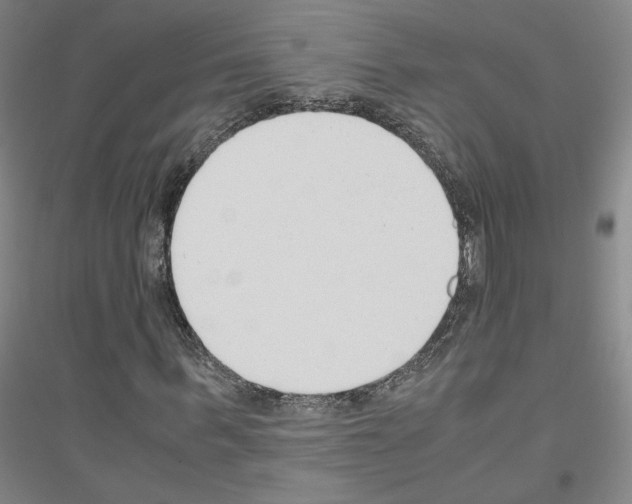 X0000116820963201001291619