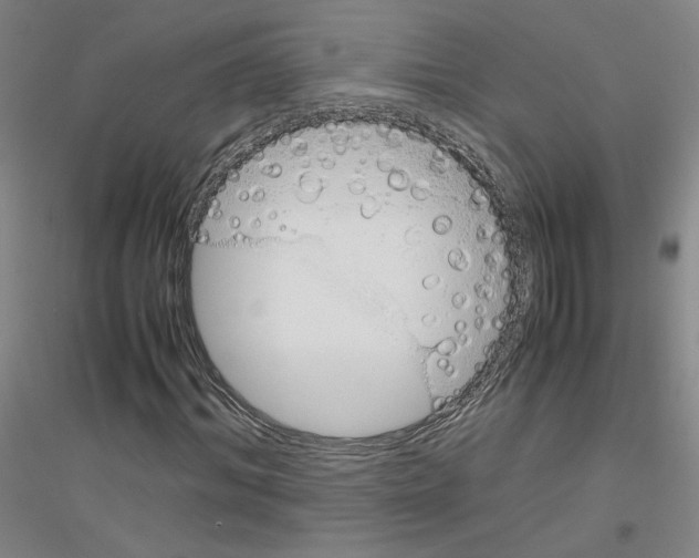 X0000116820964201001291619