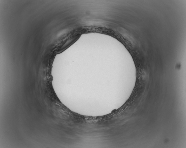 X0000116820965201001291619