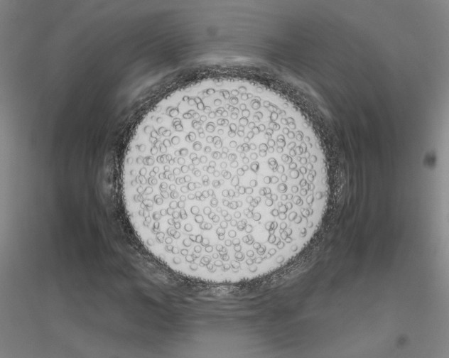 X0000116820966201001291619