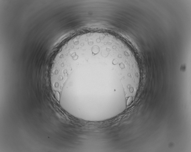 X0000116820968201001291619