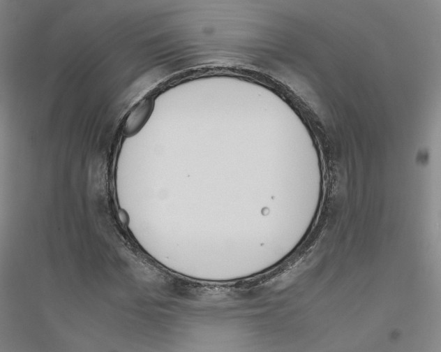 X0000116820969201001291619