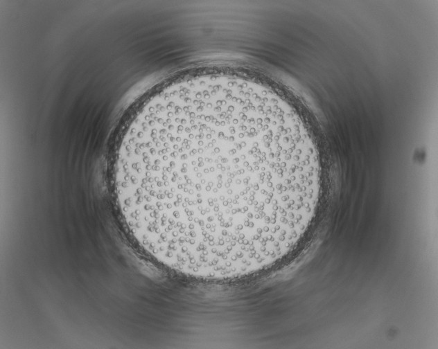 X0000116820970201001291619