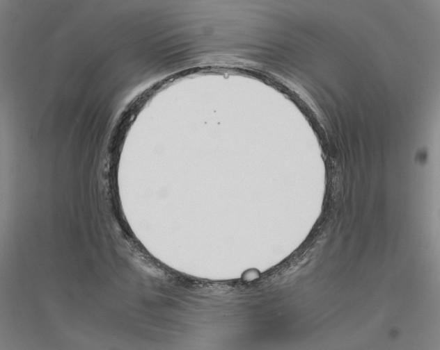 X0000116820971201001291619