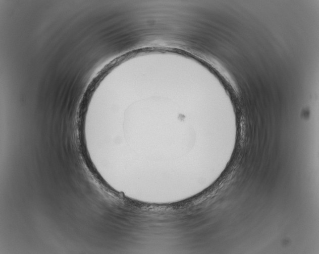 X0000116820972201001291619