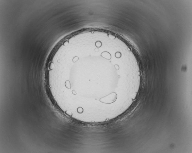 X0000116820976201001291618