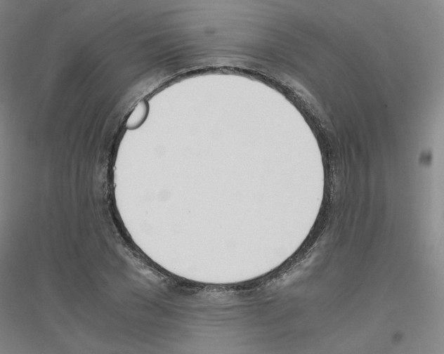 X0000116820977201001291618