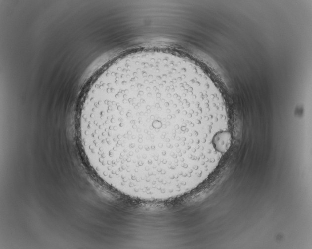 X0000116820978201001291618